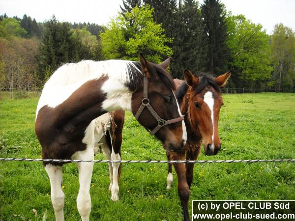 Zum Beenden - Bild anklicken