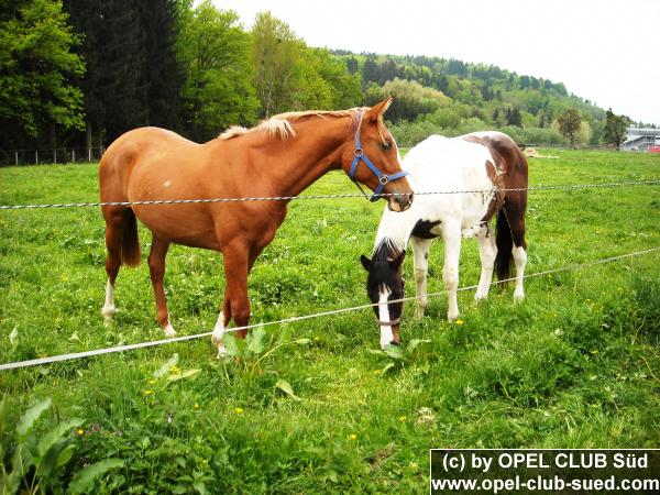 Zum Beenden - Bild anklicken