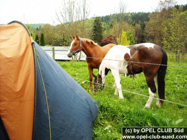 Zum Beenden - Bild anklicken