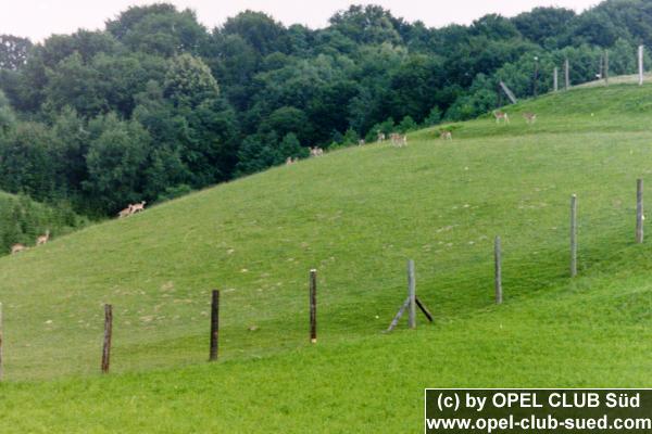 Zum Beenden - Bild anklicken