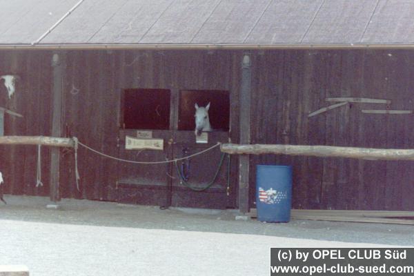 Zum Beenden - Bild anklicken